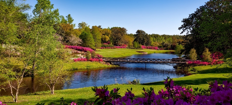 A picture of a beautiful Staten Island Park with a river running through it and a bridge