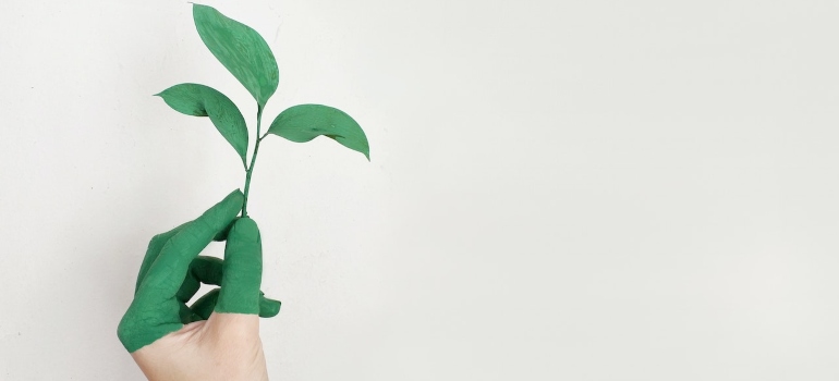A hand with green fingers holding a small leafy plant representing green moving
