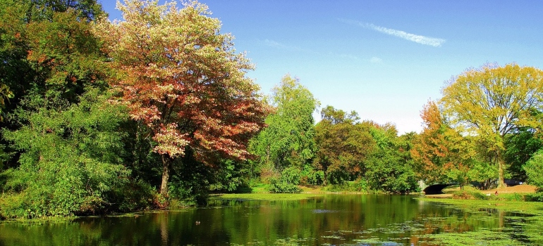 Prospect Park - visiting this park is one of the best summer things to do in NYC