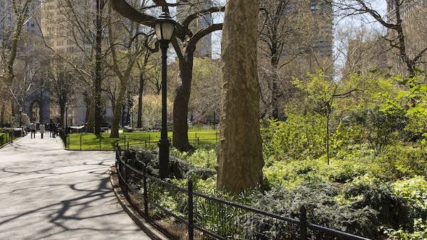 Amenities: Parks, Beaches, and Hidden Gems