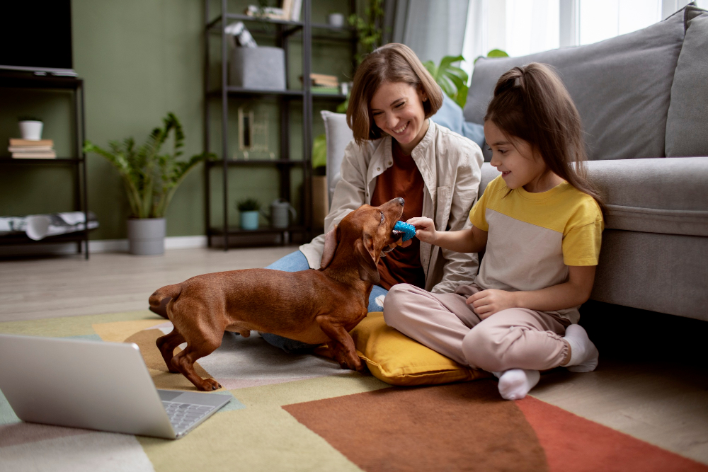 Make Arrangements for Children and Pets