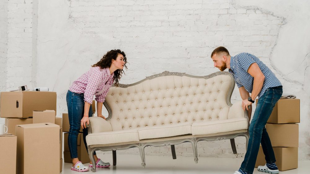 professional movers 